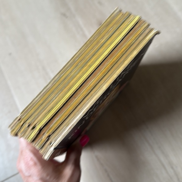 Collection - Multicolor - Picture 17 of 17